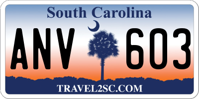 SC license plate ANV603