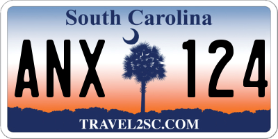 SC license plate ANX124