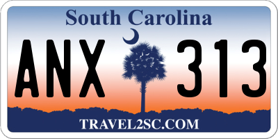 SC license plate ANX313