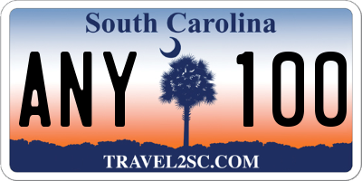 SC license plate ANY100