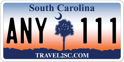 SC license plate ANY111