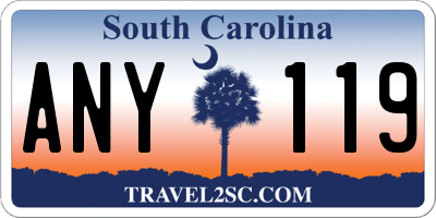 SC license plate ANY119