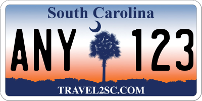 SC license plate ANY123
