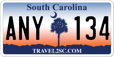 SC license plate ANY134