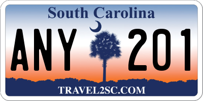 SC license plate ANY201