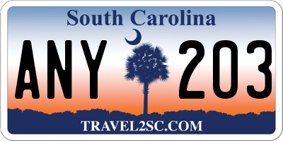 SC license plate ANY203