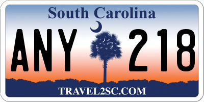 SC license plate ANY218