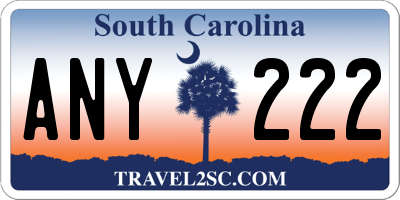 SC license plate ANY222