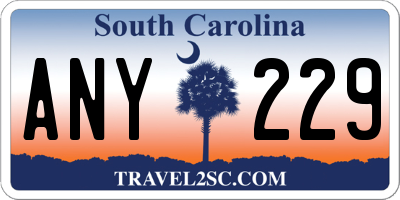 SC license plate ANY229