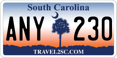 SC license plate ANY230