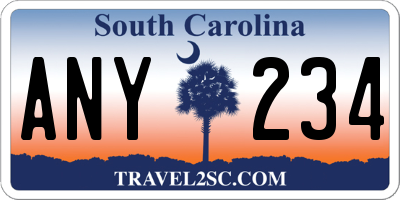 SC license plate ANY234