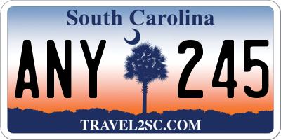SC license plate ANY245