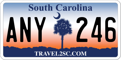 SC license plate ANY246