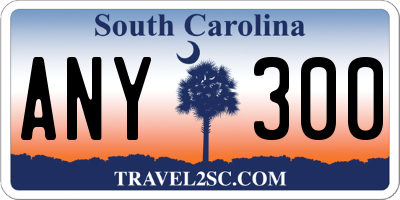 SC license plate ANY300