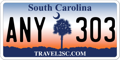 SC license plate ANY303