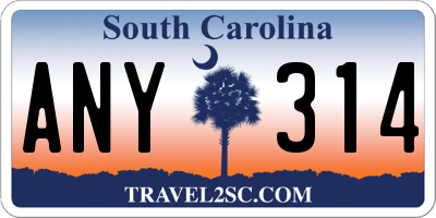 SC license plate ANY314