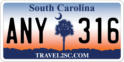 SC license plate ANY316