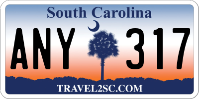 SC license plate ANY317