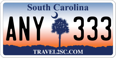 SC license plate ANY333