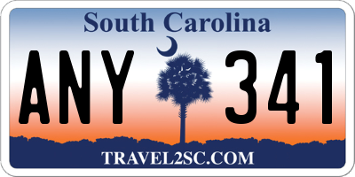 SC license plate ANY341