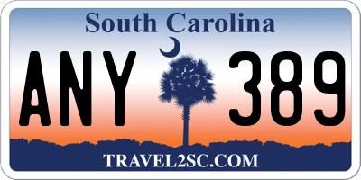 SC license plate ANY389