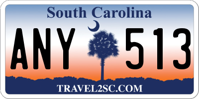 SC license plate ANY513