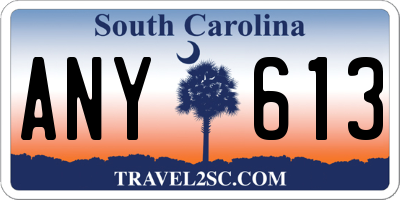 SC license plate ANY613