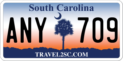 SC license plate ANY709