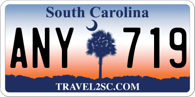 SC license plate ANY719
