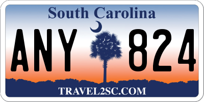 SC license plate ANY824
