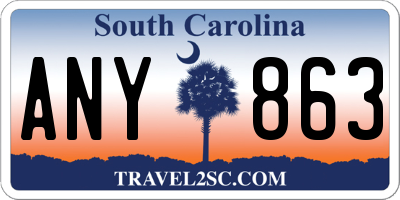 SC license plate ANY863