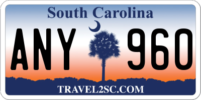 SC license plate ANY960