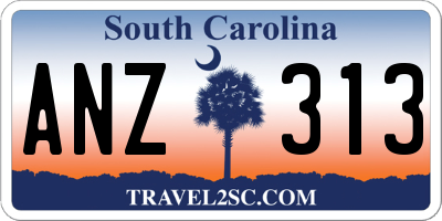SC license plate ANZ313