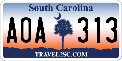SC license plate AOA313
