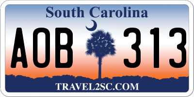 SC license plate AOB313
