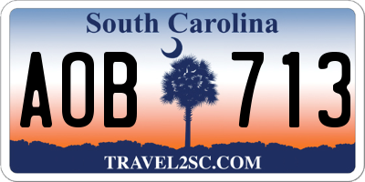 SC license plate AOB713