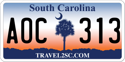 SC license plate AOC313