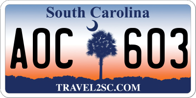 SC license plate AOC603