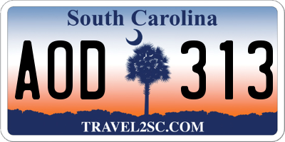 SC license plate AOD313