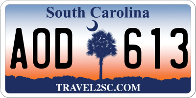 SC license plate AOD613