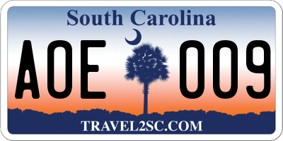 SC license plate AOE009