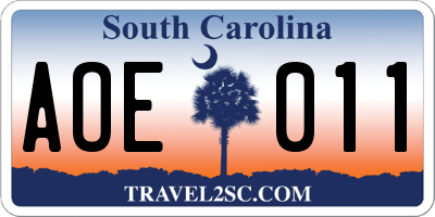 SC license plate AOE011
