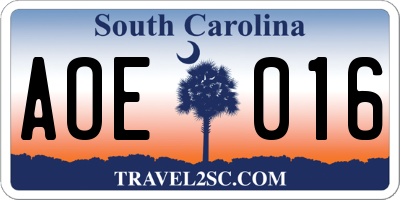 SC license plate AOE016