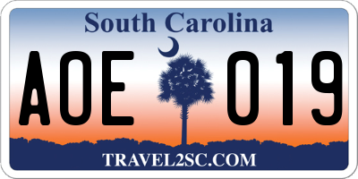 SC license plate AOE019