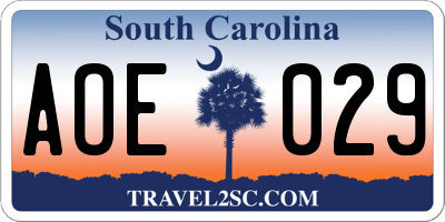 SC license plate AOE029