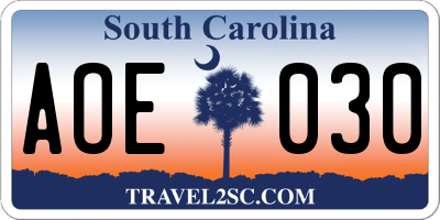 SC license plate AOE030