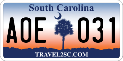 SC license plate AOE031