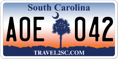 SC license plate AOE042