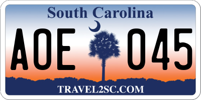 SC license plate AOE045