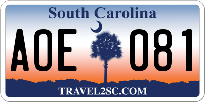 SC license plate AOE081